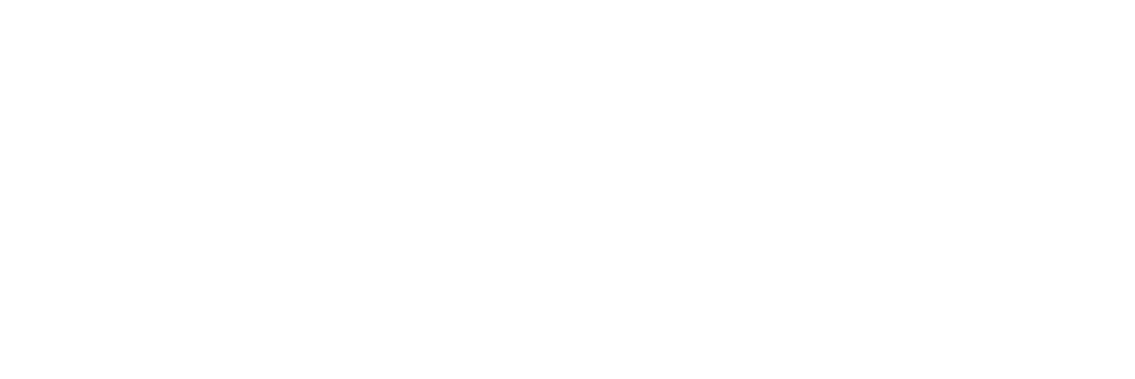 Ghost Rider Media white